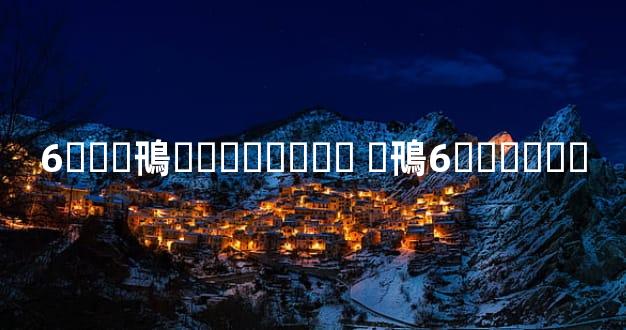 6���鳵�۸������ �鳵6������